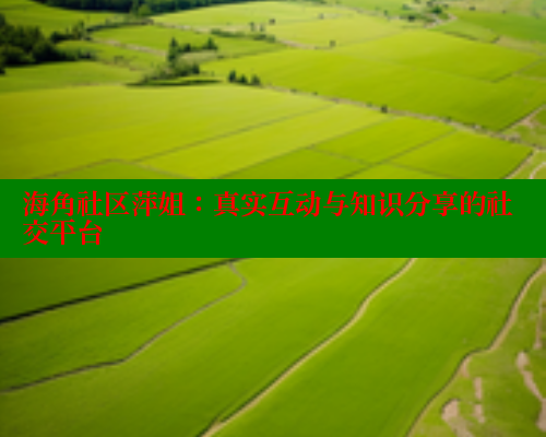 海角社区萍姐：真实互动与知识分享的社交平台