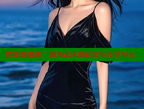 探花聚集地：海角社区的社交与分享平台 海角社区视频在线观看 第1张