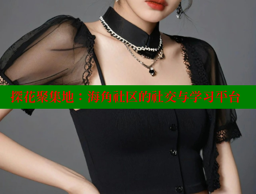 探花聚集地：海角社区的社交与学习平台 海角社区 第1张