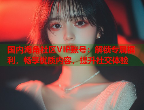 国内海角社区VIP账号：解锁专属福利，畅享优质内容，提升社交体验  第2张