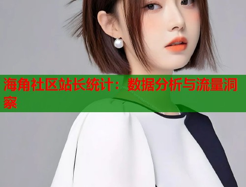 海角社区站长统计：数据分析与流量洞察