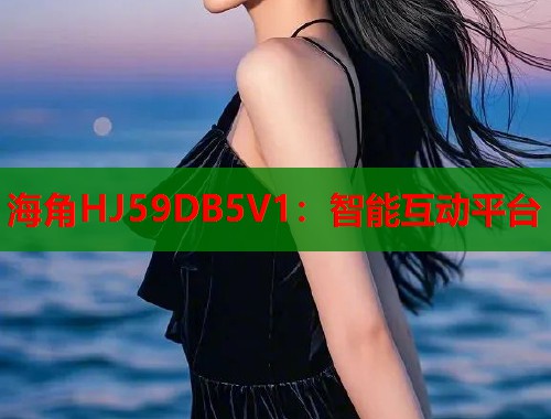 海角HJ59DB5V1：智能互动平台  第2张