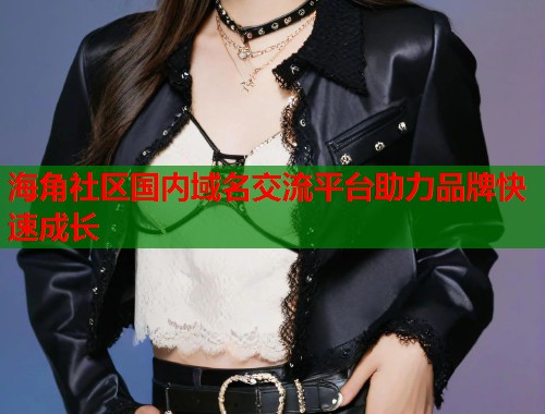 海角社区国内域名交流平台助力品牌快速成长