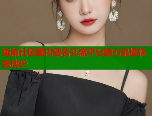 海角社区国内域名交流平台助力品牌快速成长  第2张
