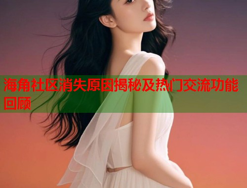 海角社区消失原因揭秘及热门交流功能回顾