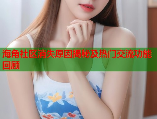 海角社区消失原因揭秘及热门交流功能回顾  第2张